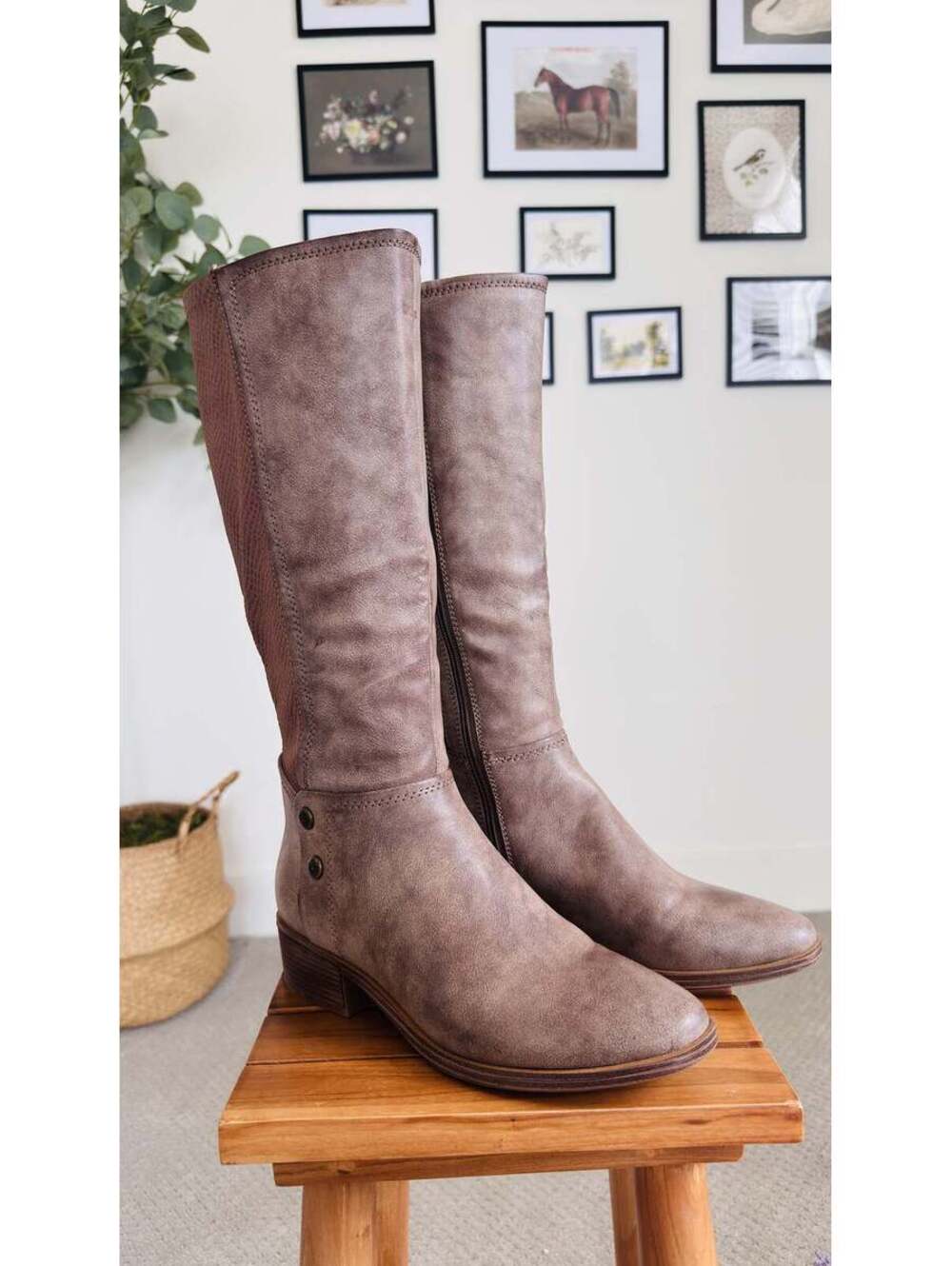 Baretraps Madelyn Tall Riding Boots Size US 8.5